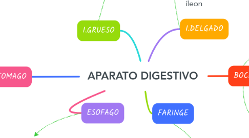Mind Map: APARATO DIGESTIVO