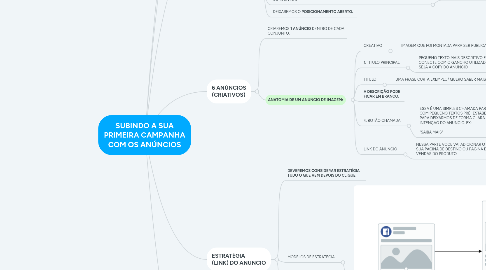 Mind Map: SUBINDO A SUA PRIMEIRA CAMPANHA COM OS ANÚNCIOS
