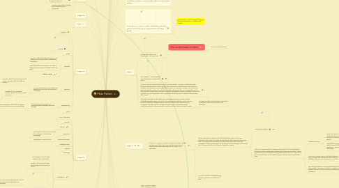 Mind Map: Plato Packet