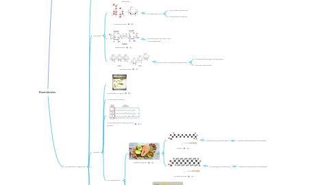Mind Map: Biomoléculas
