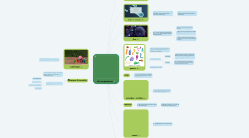 Mind Map: microorganismos