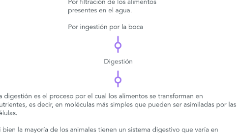 Mind Map: Animales