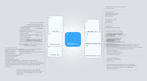 Mind Map: Бразилия