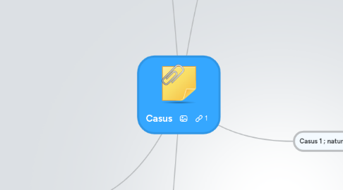 Mind Map: Casus