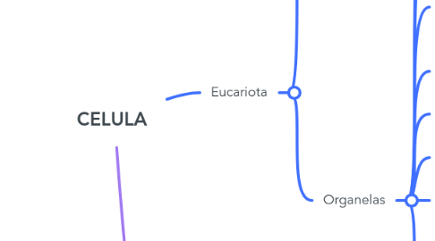 Mind Map: CELULA
