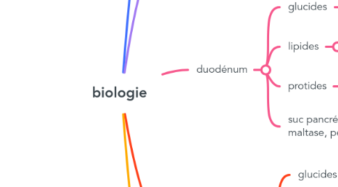 Mind Map: biologie