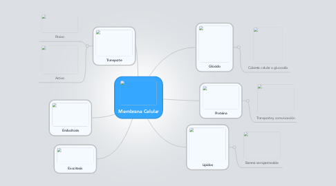 Mind Map: Membrana Celular