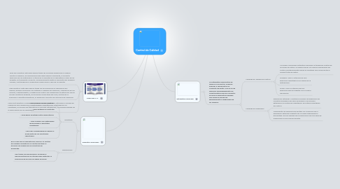 Mind Map: Control de Calidad