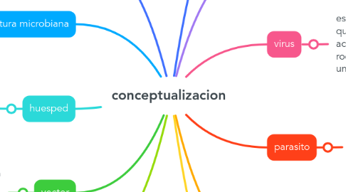Mind Map: conceptualizacion