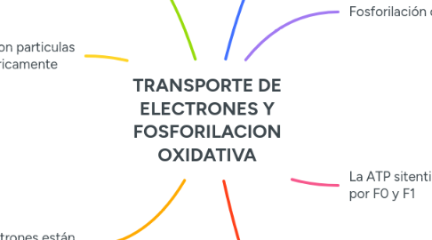 Mind Map: TRANSPORTE DE ELECTRONES Y FOSFORILACION OXIDATIVA
