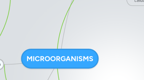 Mind Map: MICROORGANISMS