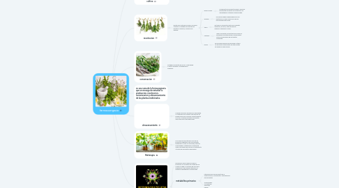 Mind Map: farmacoergacia