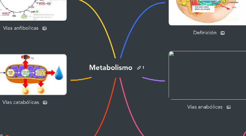 Mind Map: Metabolismo