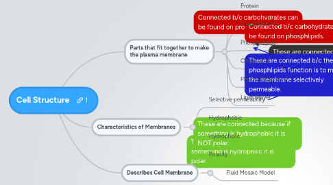 Mind Map: Cell Structure