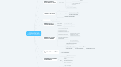 Mind Map: Receptores Sensoriais e Circuitos Neuronais para o Processamento de Informações
