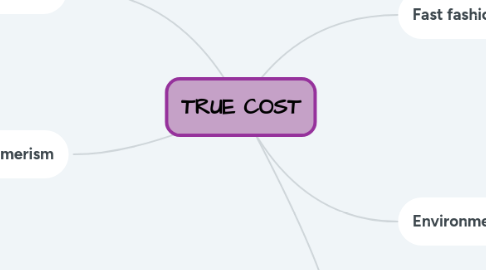Mind Map: TRUE COST