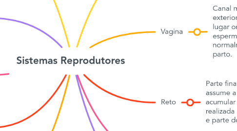 Mind Map: Sistemas Reprodutores