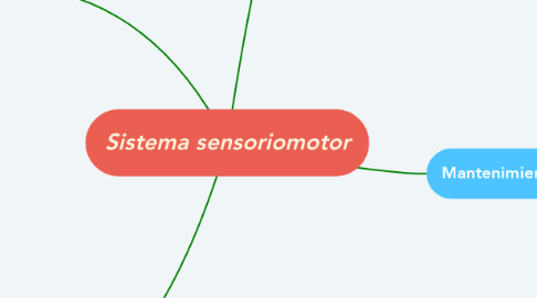 Mind Map: Sistema sensoriomotor