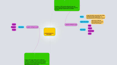 Mind Map: COMPARTIMIENTOS CELULARES