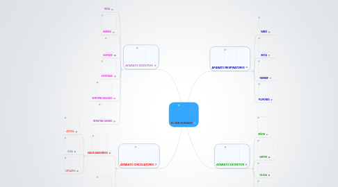 Mind Map: EL SER HUMANO