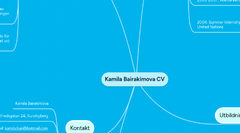 Mind Map: Kamila Bairakimova CV