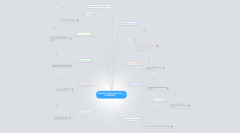 Mind Map: PROCESO PSICOLOGICO EN EL DEPORTE