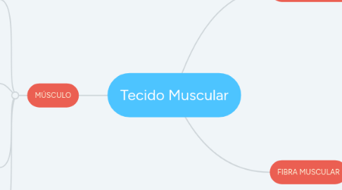 Mind Map: Tecido Muscular
