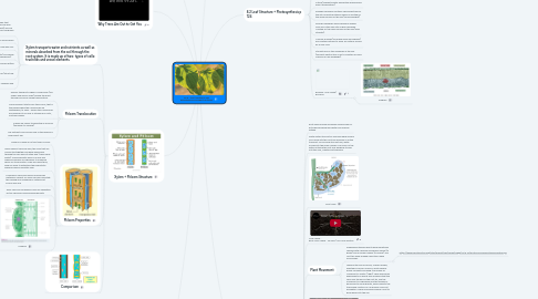 Mind Map: Ch 8 - Plant Systems: Gas Exchange and Trnsport Systems