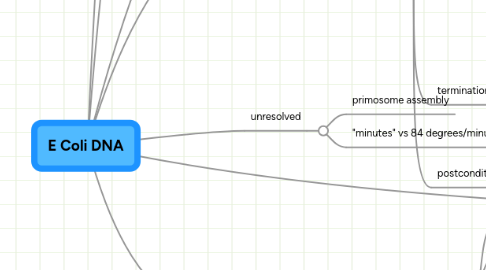 Mind Map: E Coli DNA