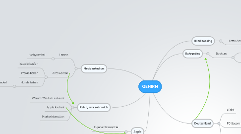 Mind Map: GEHIRN