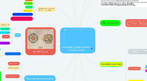 Mind Map: Actividad 2 Cerebro infantil vs Cerebro adulto