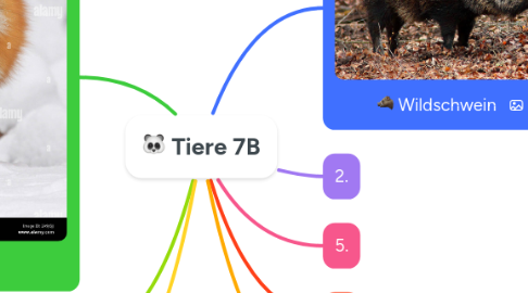 Mind Map: :panda_face: Tiere 7B