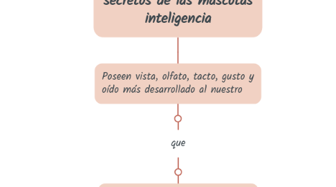 Mind Map: secretos de las mascotas inteligencia