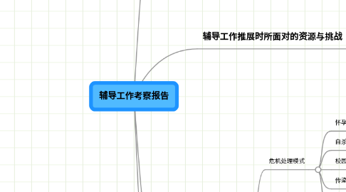 Mind Map: 辅导工作考察报告