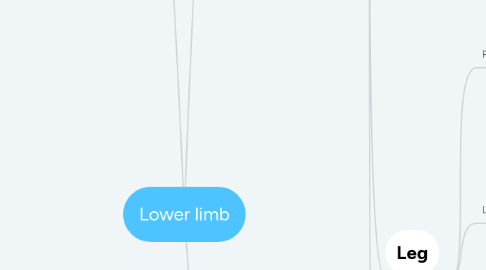Mind Map: Lower limb
