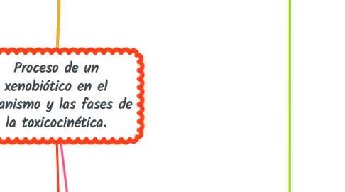 Mind Map: Proceso de un xenobiótico en el organismo y las fases de la toxicocinética.