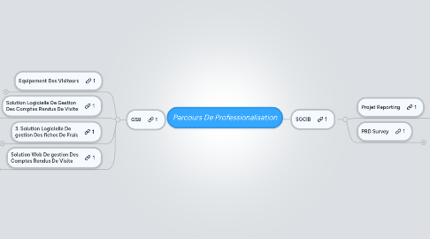 Mind Map: Parcours De Professionalisation