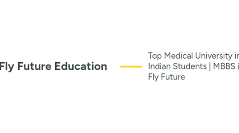 Mind Map: Fly Future Education