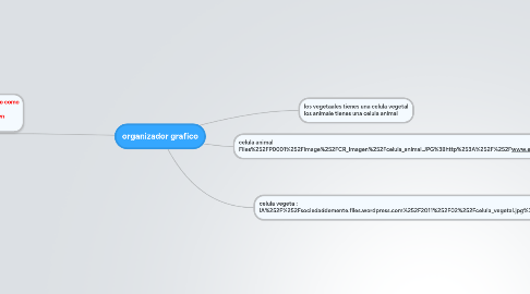 Mind Map: organizador grafico