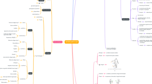 Mind Map: SISTEMA ARTICULAR