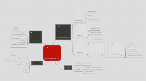 Mind Map: Atmungssystem