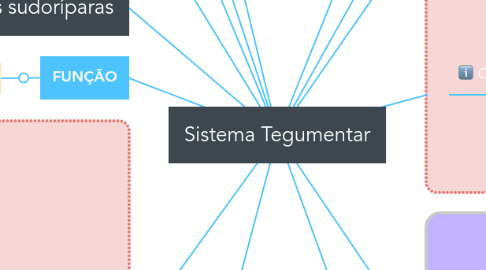 Mind Map: Sistema Tegumentar
