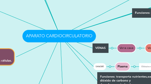 Mind Map: APARATO CARDIOCIRCULATORIO