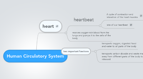 Mind Map: Human Circulatory System