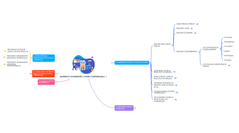 Mind Map: ANIMER ET DYNAMISER L'OFFRE COMMERCIALE