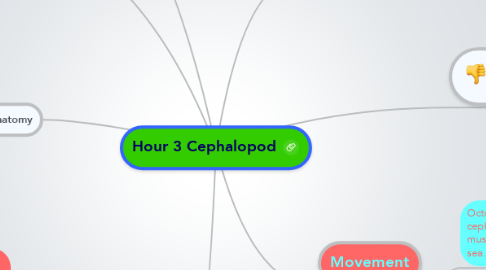 Mind Map: Hour 3 Cephalopod