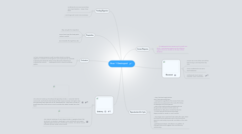 Mind Map: Hour 1 Gastropod