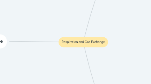 Mind Map: Respiration and Gas Exchange