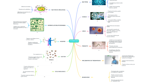 Mind Map: MICROBIOLOGIA