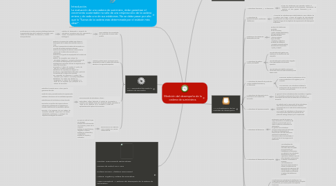 Mind Map: Medición del desempeño de la cadena de suministros.